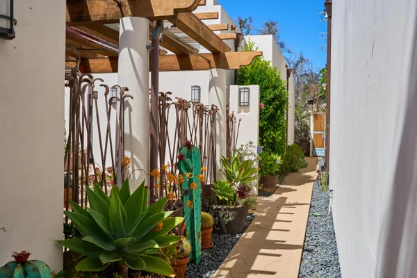 a view of a potted plants on a sidewalk