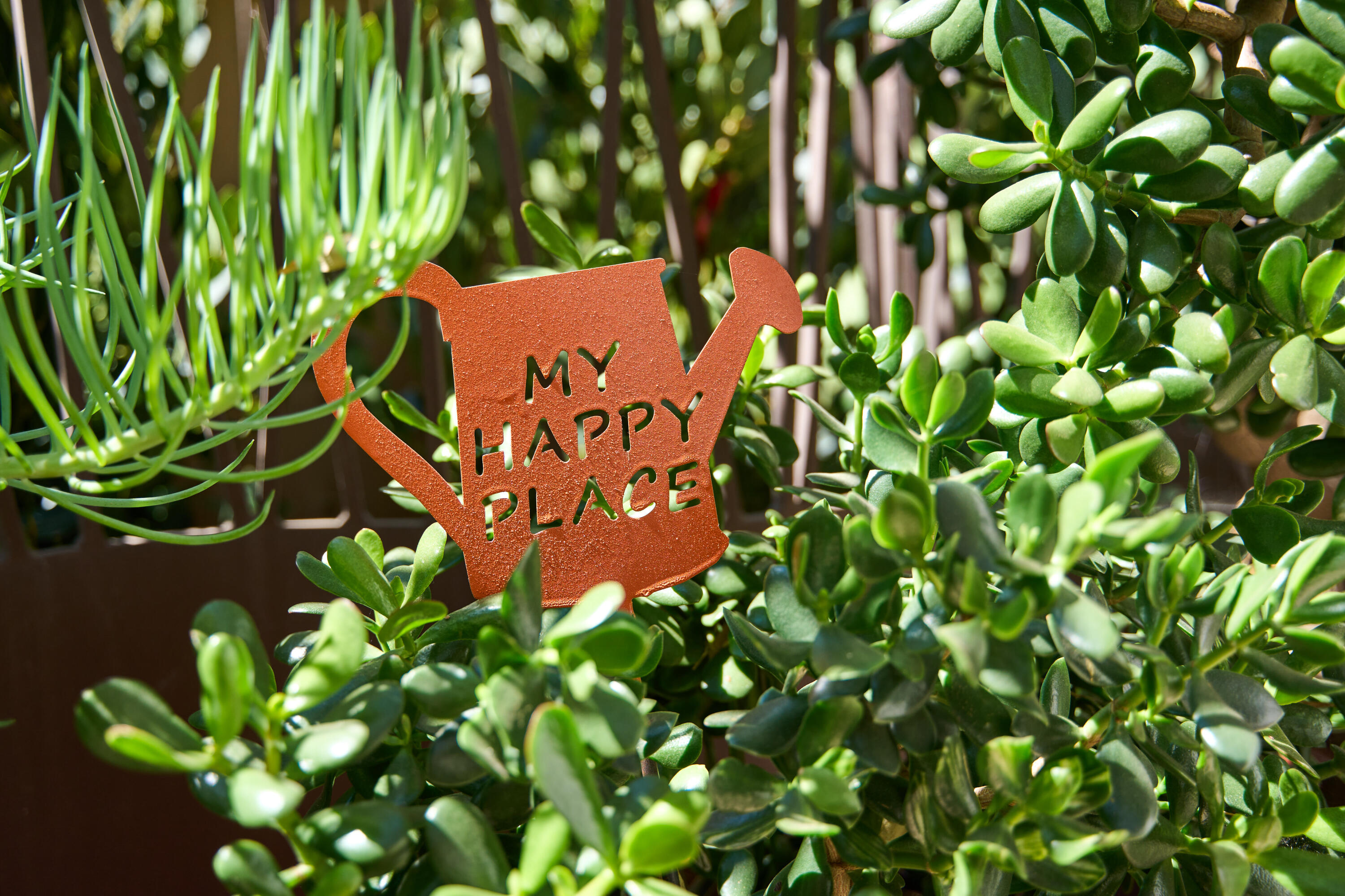 219 Equestrian Avenue Santa Barbara, CA 93101 - Photo 23 of 26 a close up of a plant