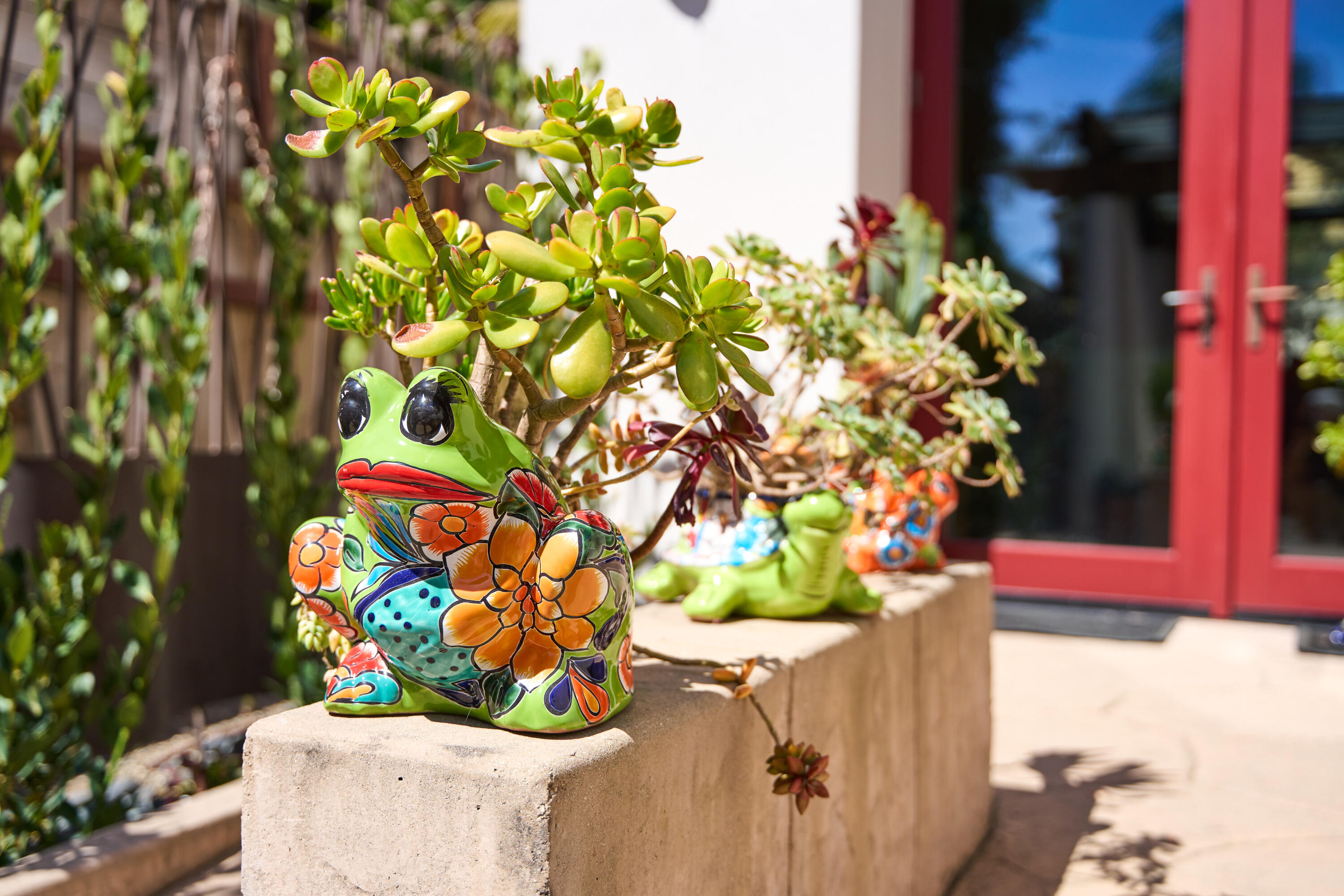 219 Equestrian Avenue Santa Barbara, CA 93101 - Photo 24 of 26 a white vase with flowers