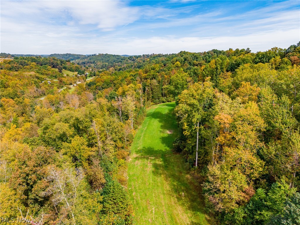 Lew Marten Road Summerfield, OH 43788 - Photo 25 of 50 Gallery Image 25