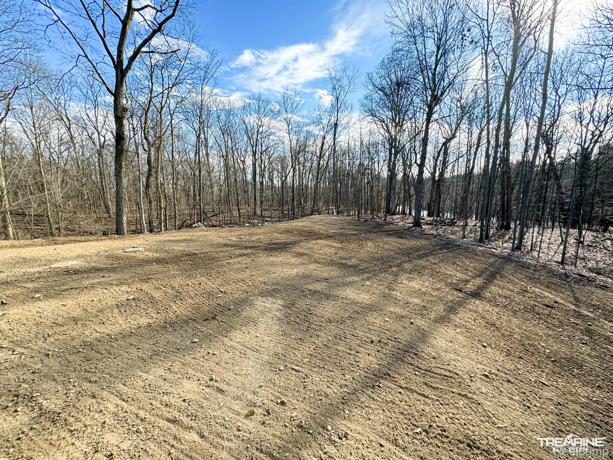 10475 Rolston Road Byron, MI 48418 - Photo 15 of 18 Back yard