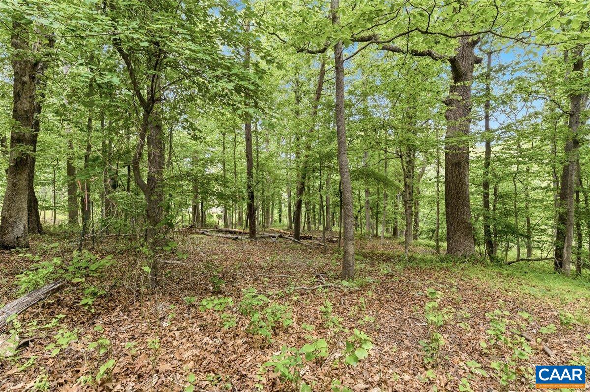 615 Half Mile Branch Road Crozet, VA 22932 - Photo 11 of 20