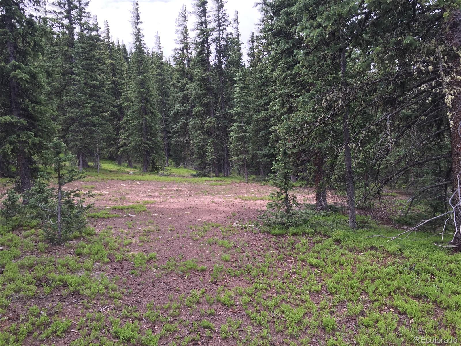 6517 Forbes Road San Luis, CO 81152 - Photo 2 of 9 Gallery Image 2