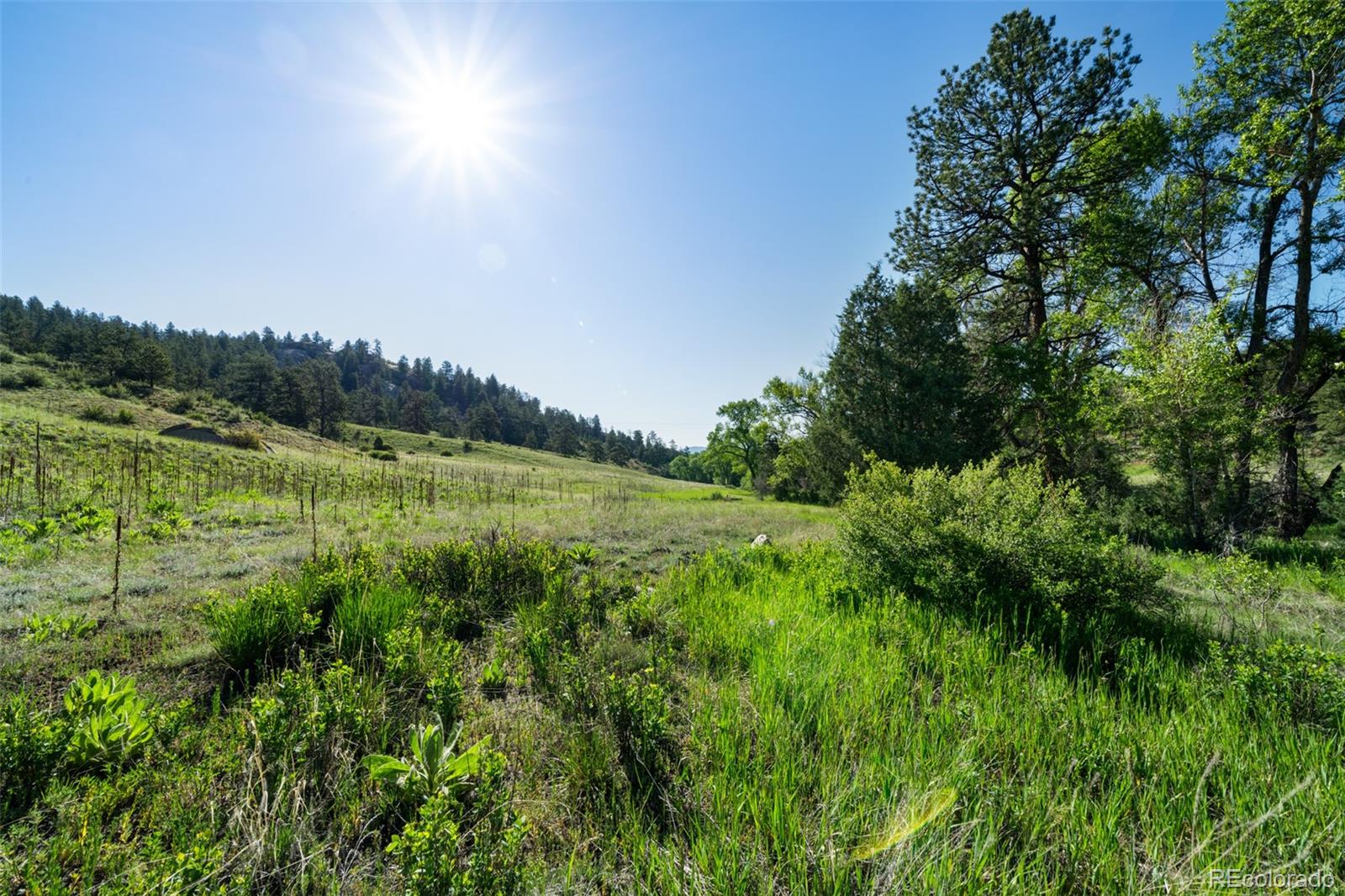 22511 Resort Creek Road Conifer, CO 80433 - Photo 29 of 50