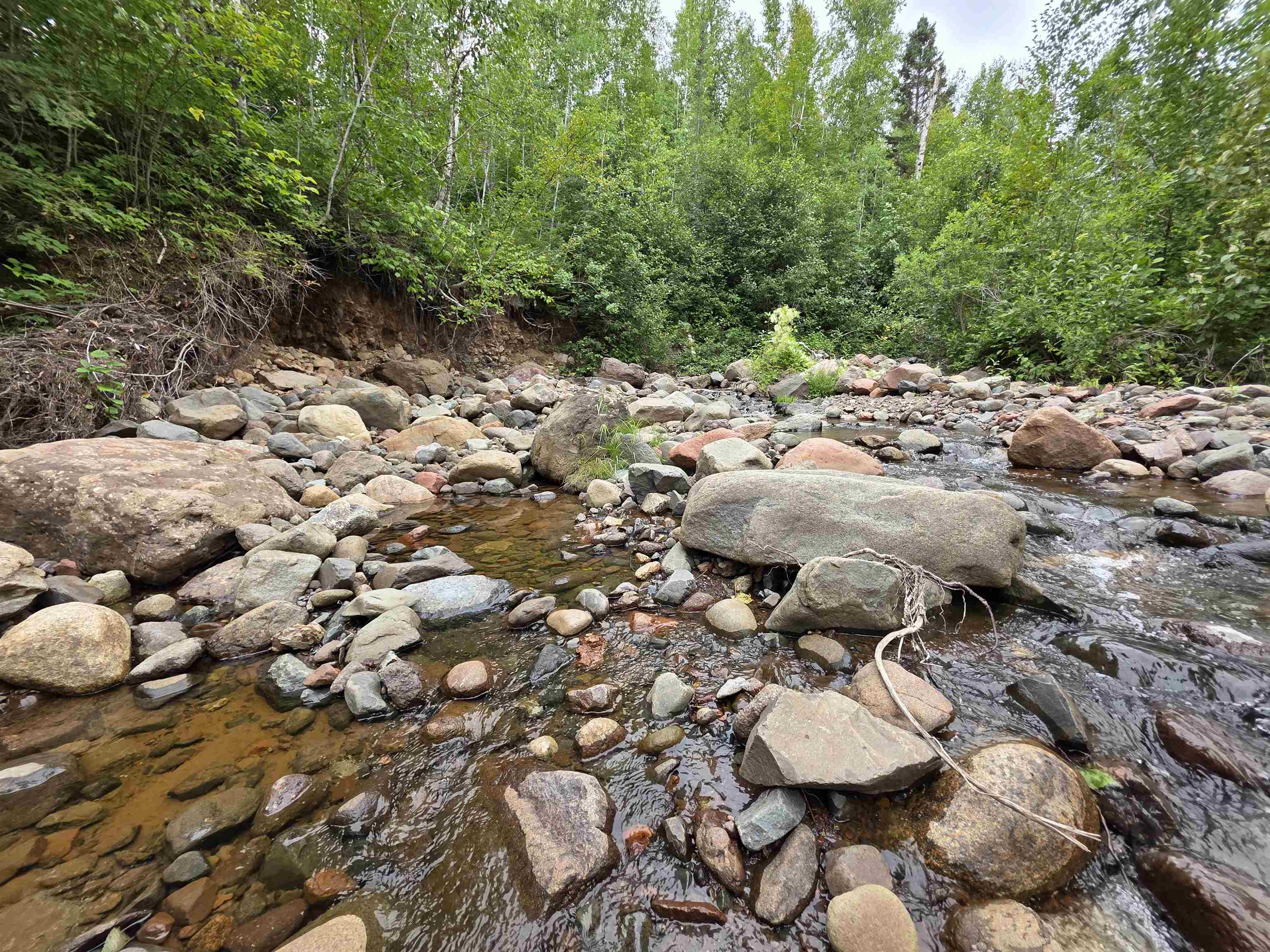 Xx Mountain Home Trail Silver Bay, MN 55614 - Photo 11 of 21