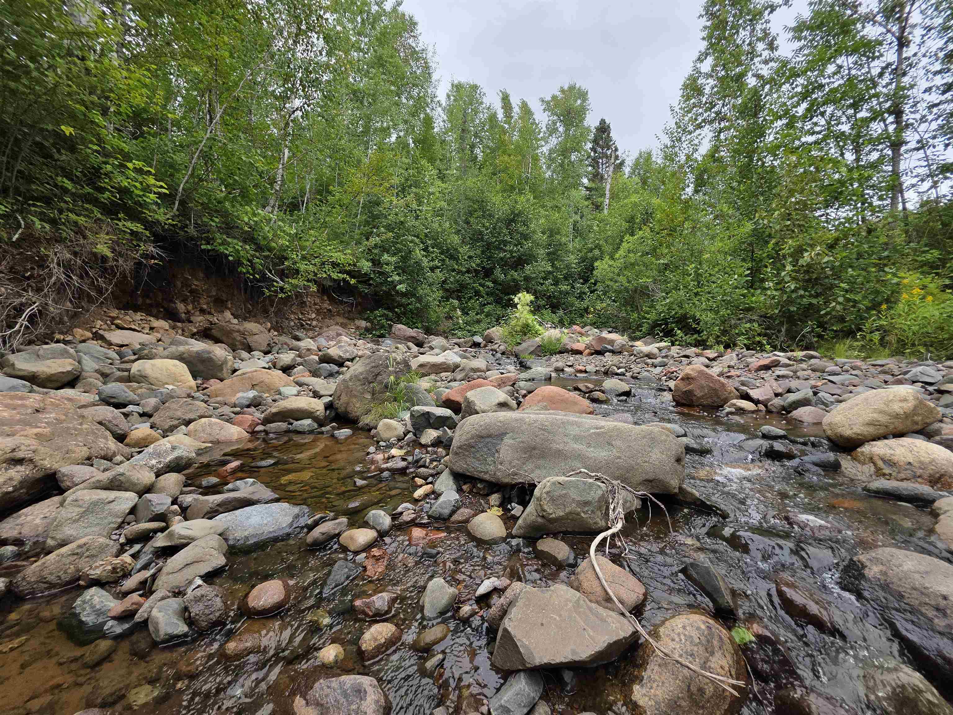 Xx Mountain Home Trail Silver Bay, MN 55614 - Photo 12 of 21