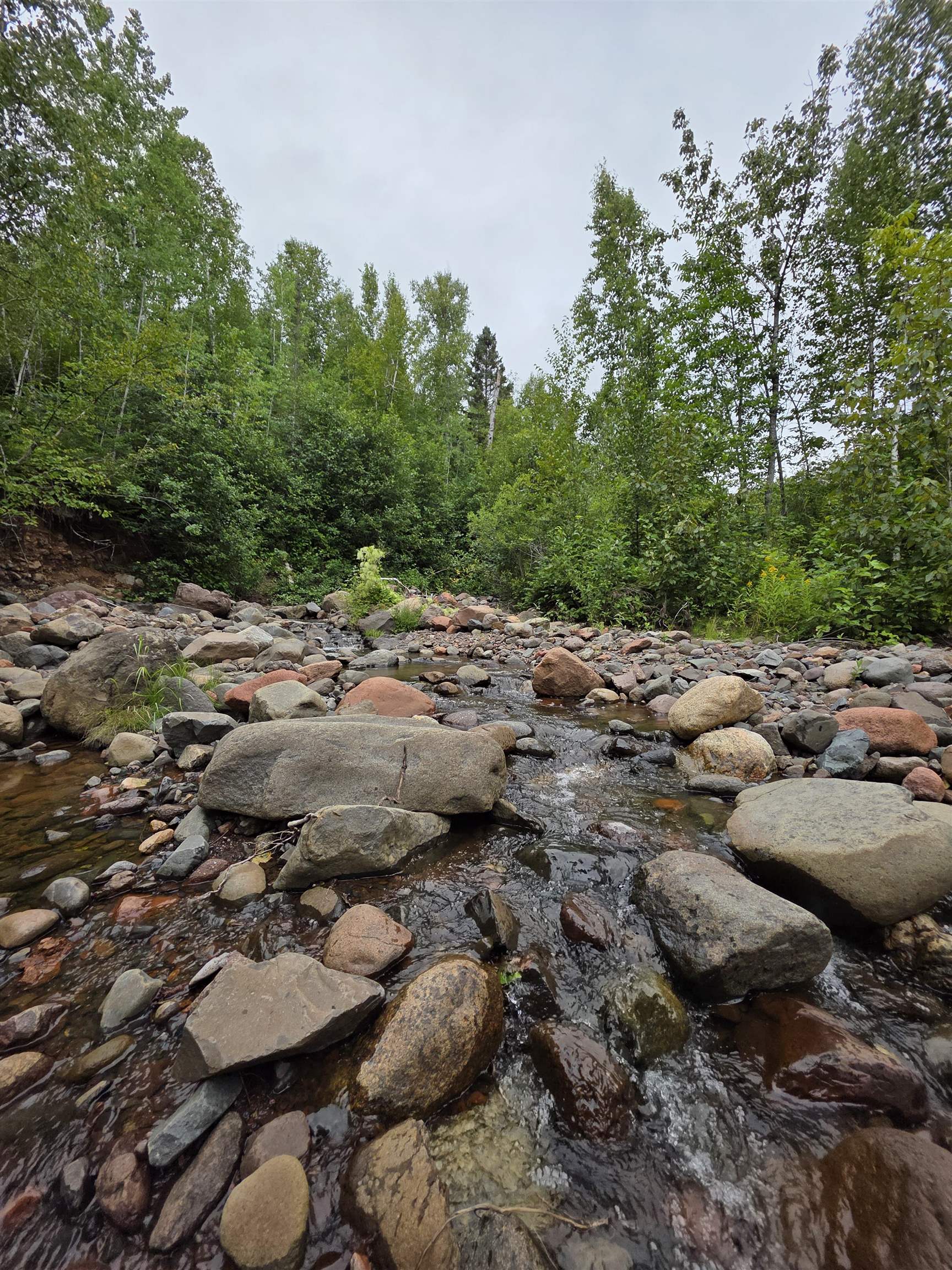 Xx Mountain Home Trail Silver Bay, MN 55614 - Photo 13 of 21