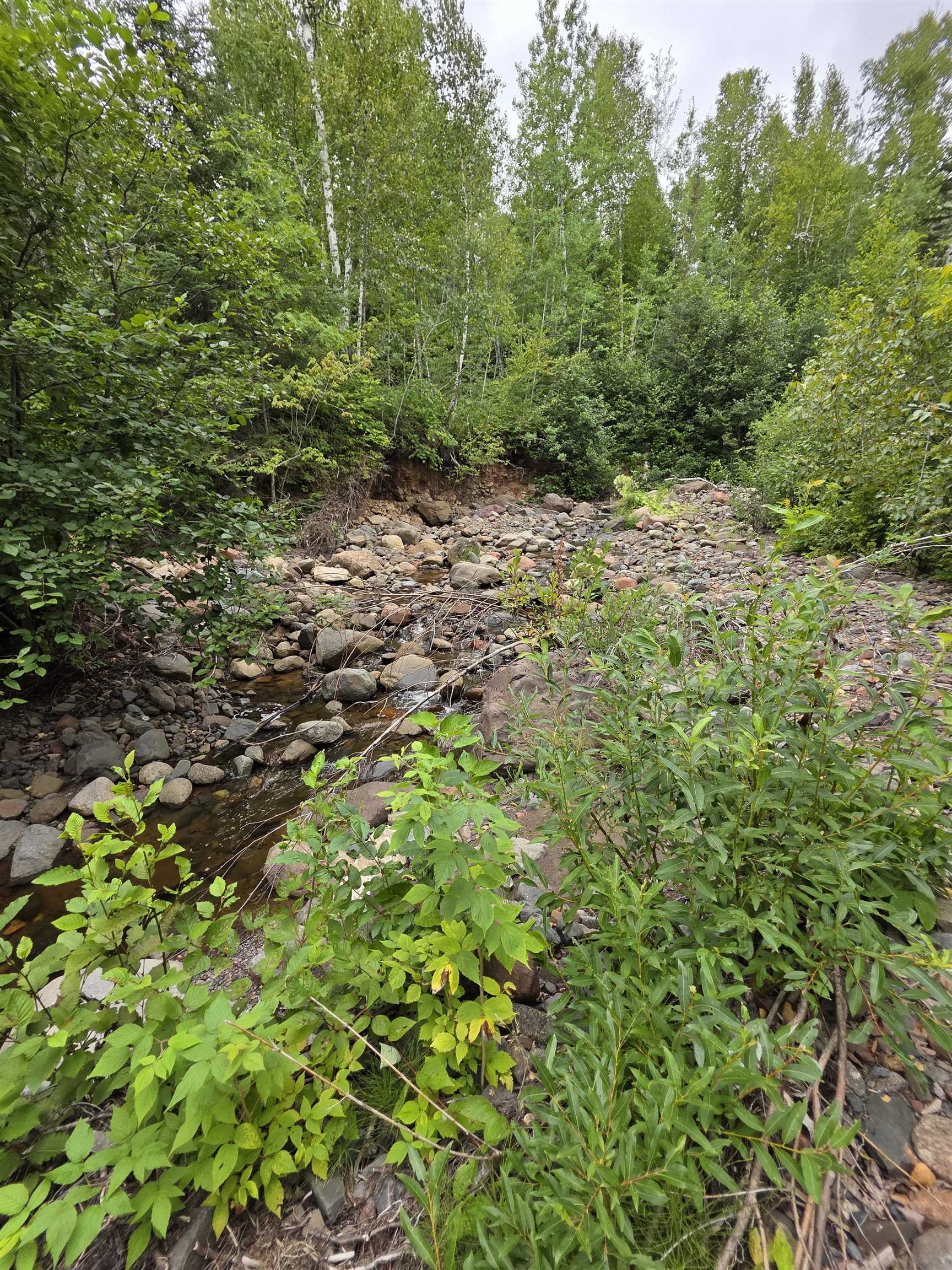 Xx Mountain Home Trail Silver Bay, MN 55614 - Photo 15 of 21