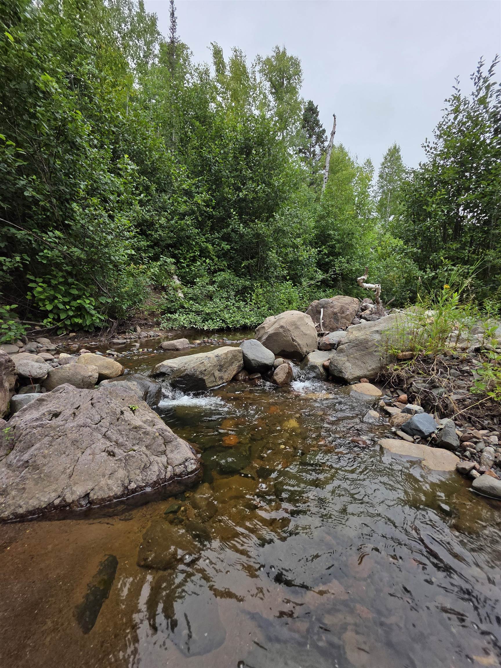Xx Mountain Home Trail Silver Bay, MN 55614 - Photo 16 of 21