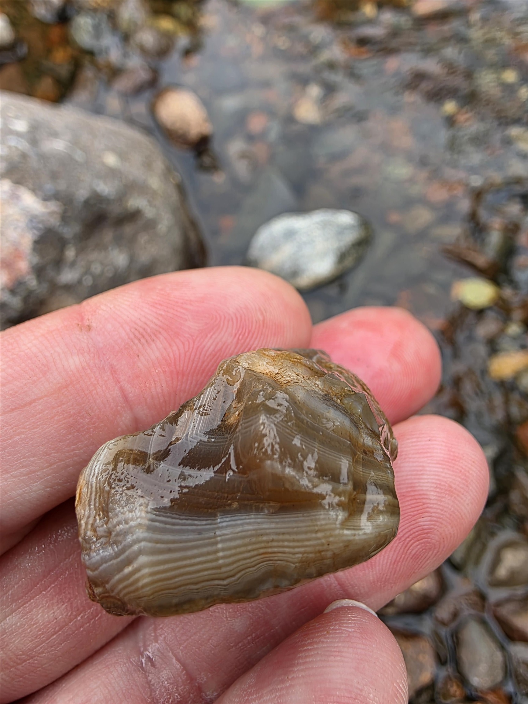 Xx Mountain Home Trail Silver Bay, MN 55614 - Photo 17 of 21