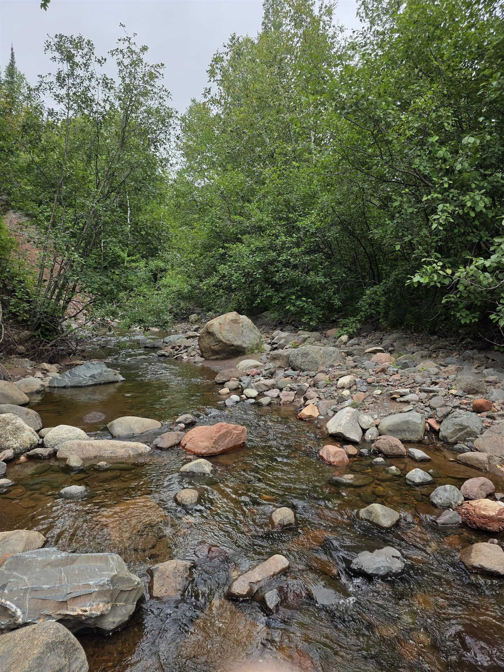 Xx Mountain Home Trail Silver Bay, MN 55614 - Photo 18 of 21