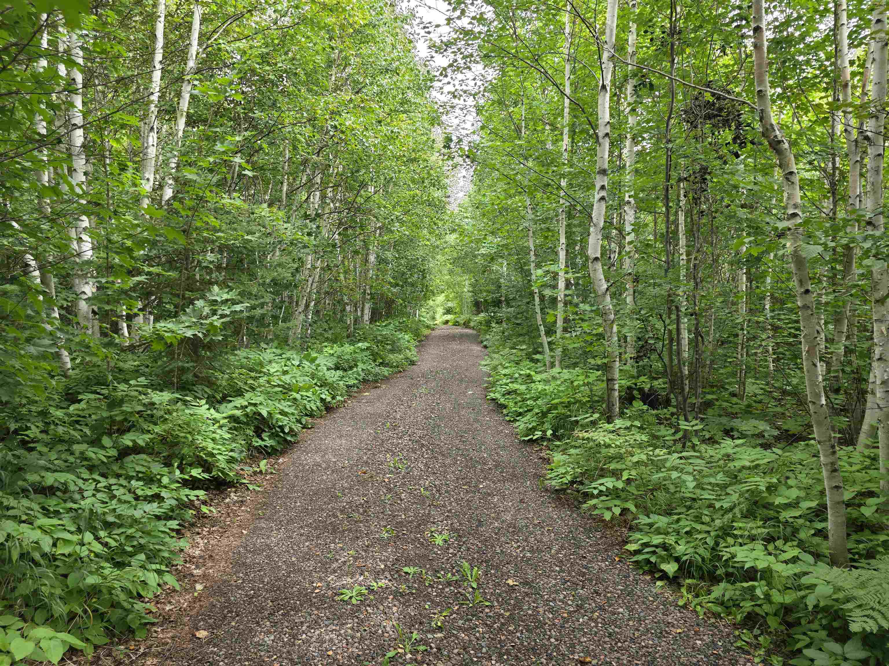 Xx Mountain Home Trail Silver Bay, MN 55614 - Photo 2 of 21