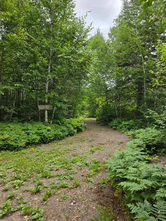 $349,900 | Xx Mountain Home Trail, Silver Bay, MN 55614