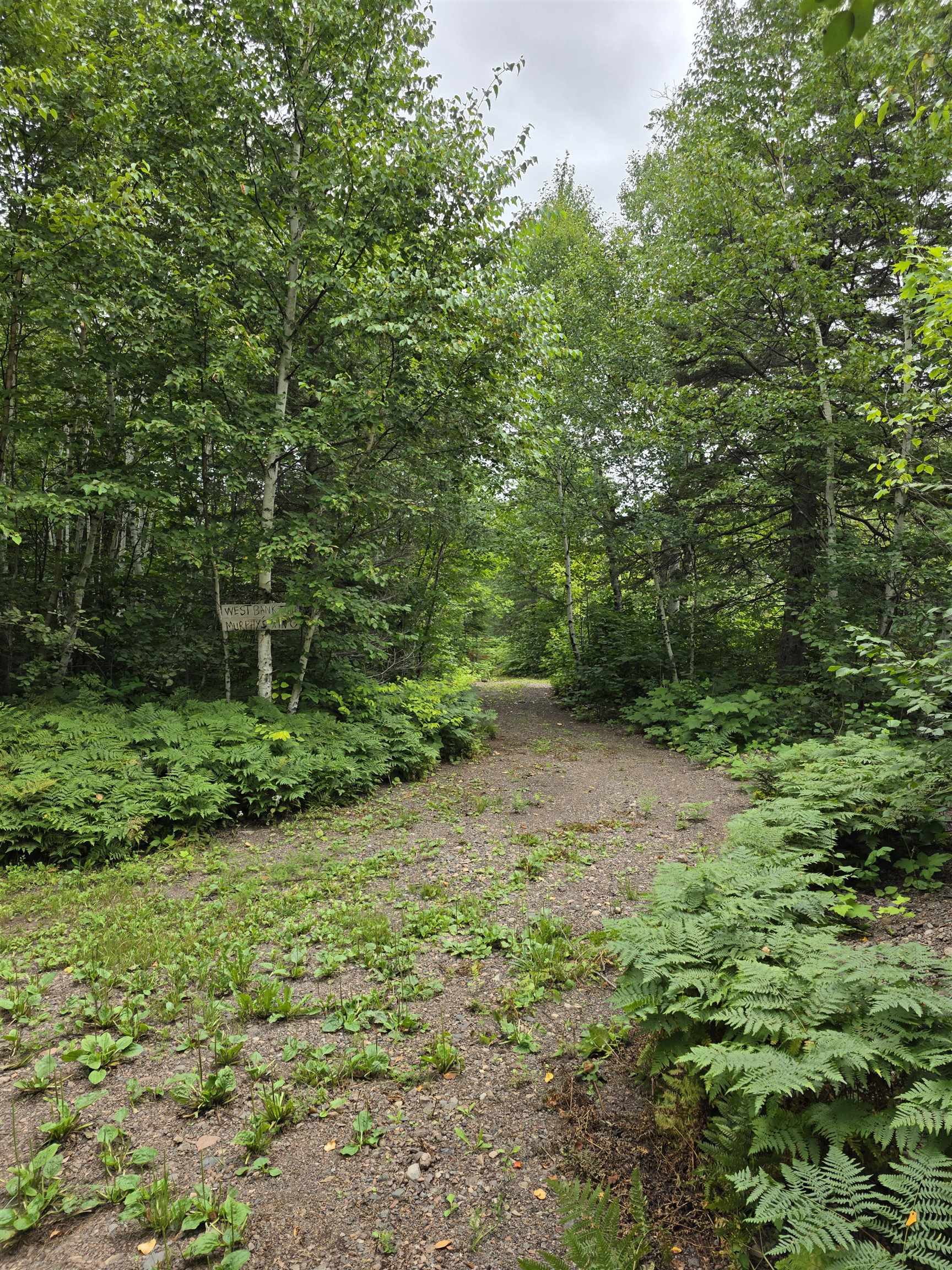 Xx Mountain Home Trail Silver Bay, MN 55614 - Photo 3 of 21