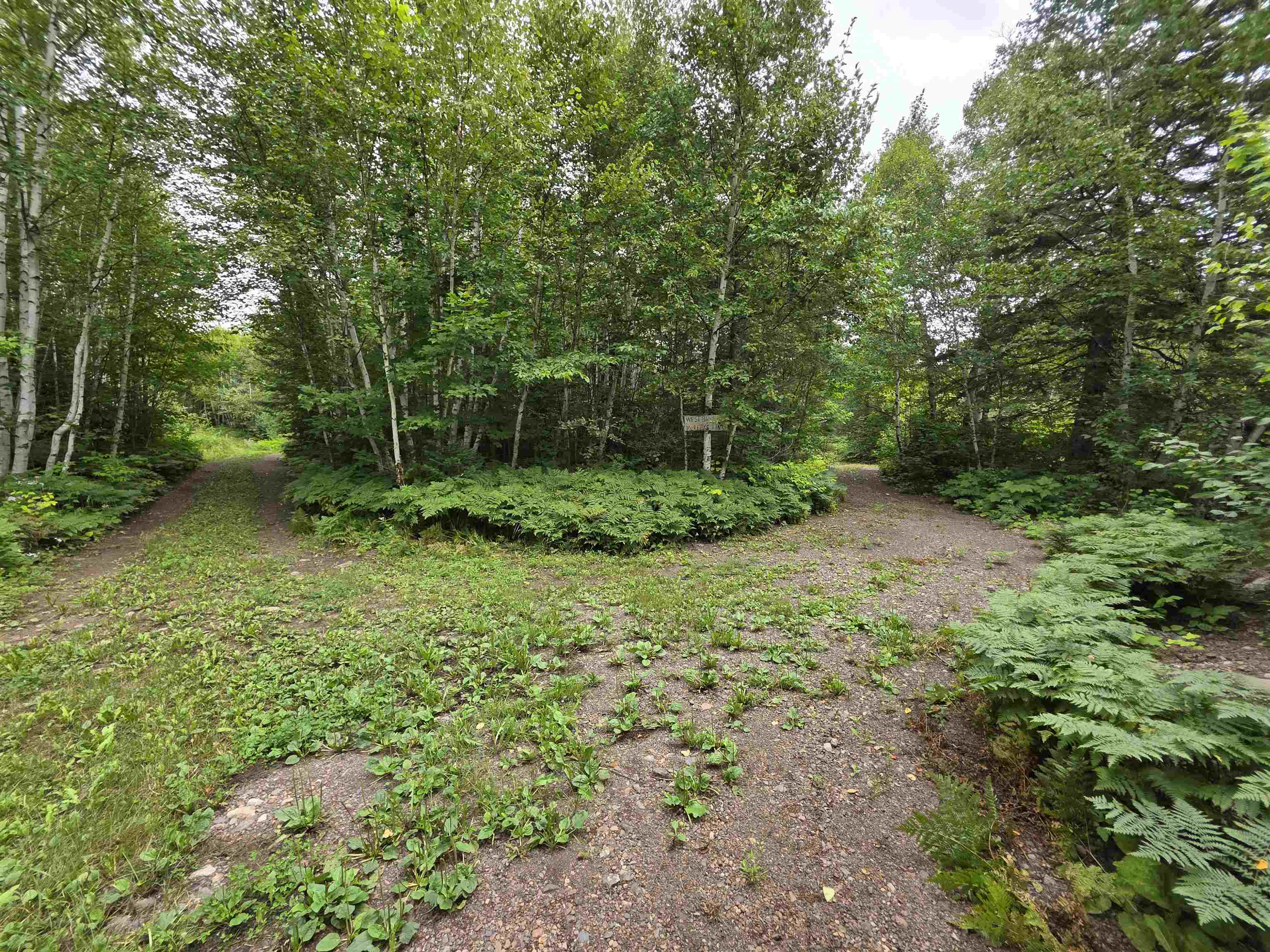 Xx Mountain Home Trail Silver Bay, MN 55614 - Photo 4 of 21