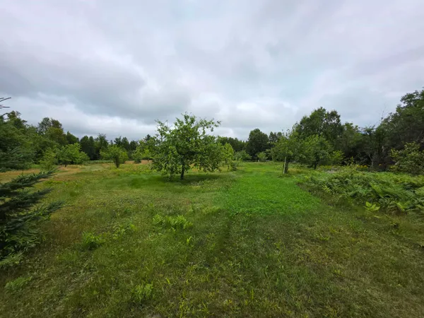 $349,900 | Xx Mountain Home Trail, Silver Bay, MN 55614
