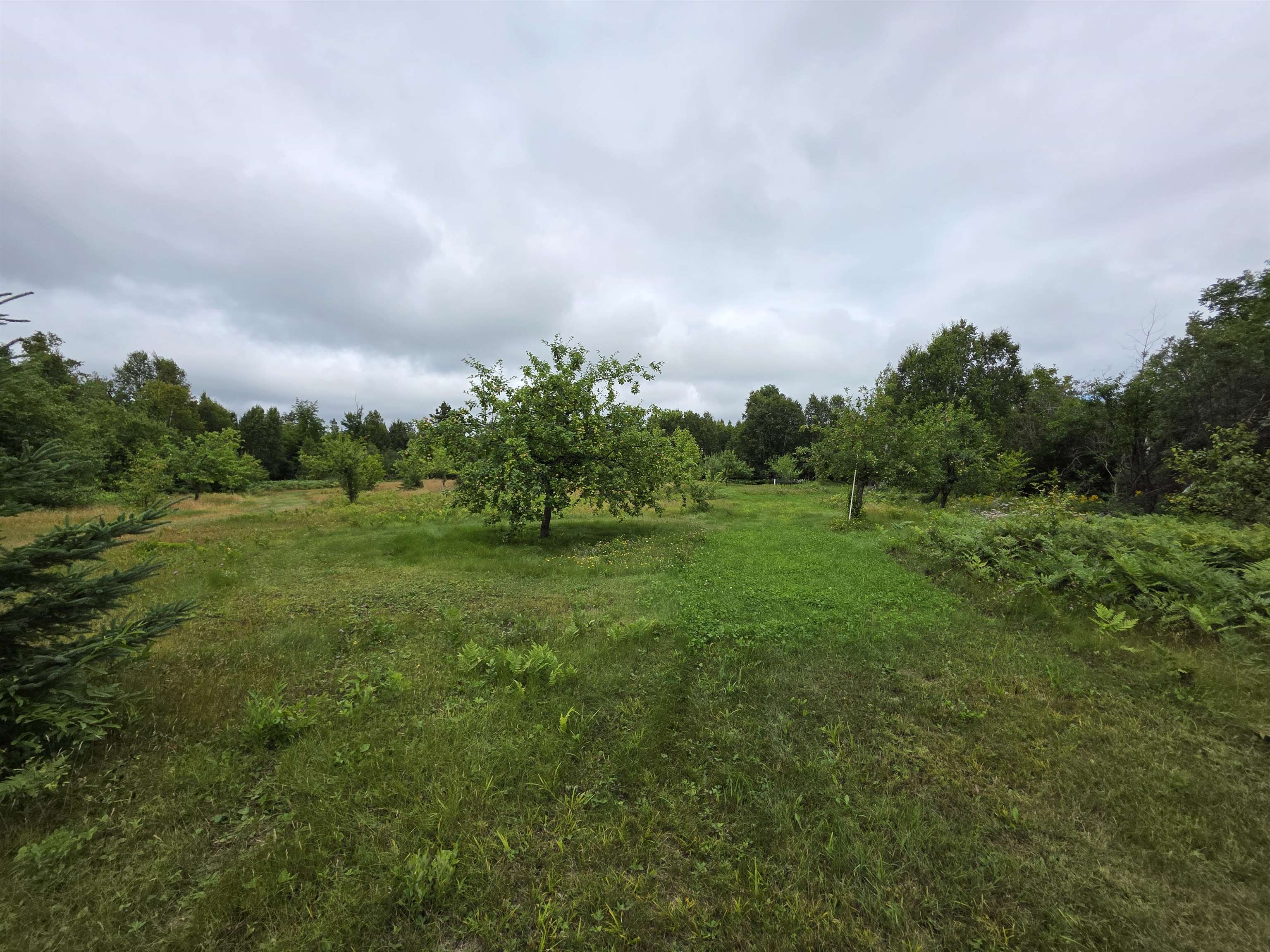 Xx Mountain Home Trail Silver Bay, MN 55614 - Photo 5 of 21