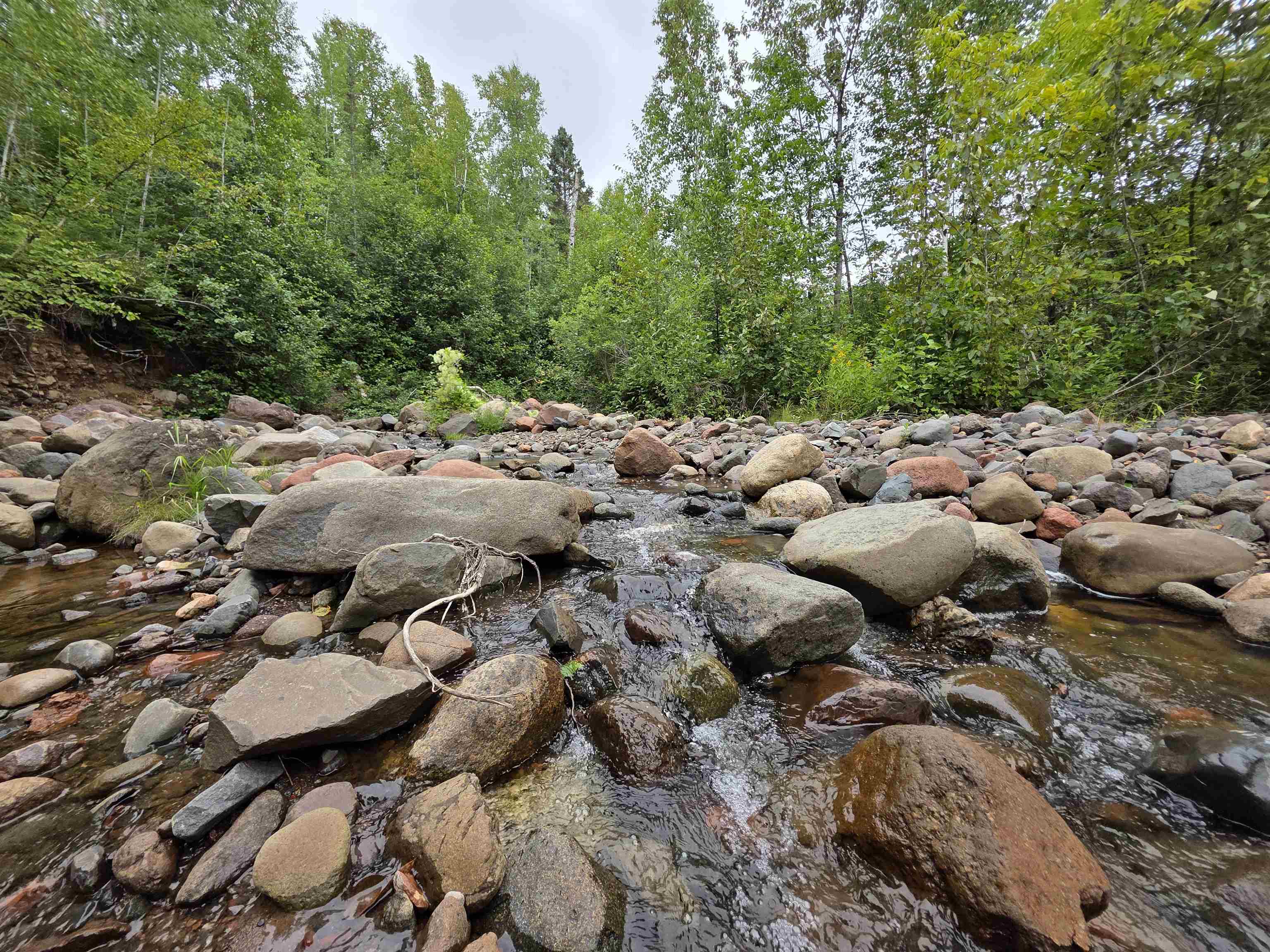 Xx Mountain Home Trail Silver Bay, MN 55614 - Photo 10 of 21