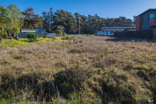 a view of a yard with wooden fence