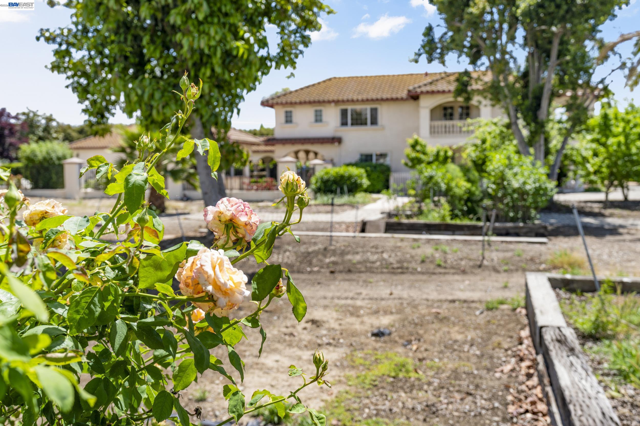 4224 Greenville Road Livermore, CA 94550 - Photo 54 of 72