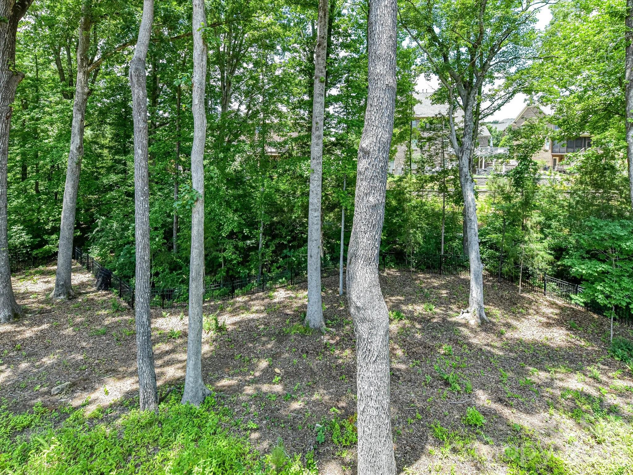8701 Whitehawk Hill Road Waxhaw, NC 28173 - Photo 41 of 42