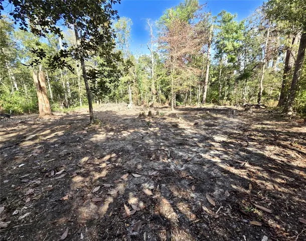 a view of a yard with large trees