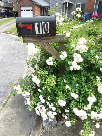 a sign that is sitting in front of flowers