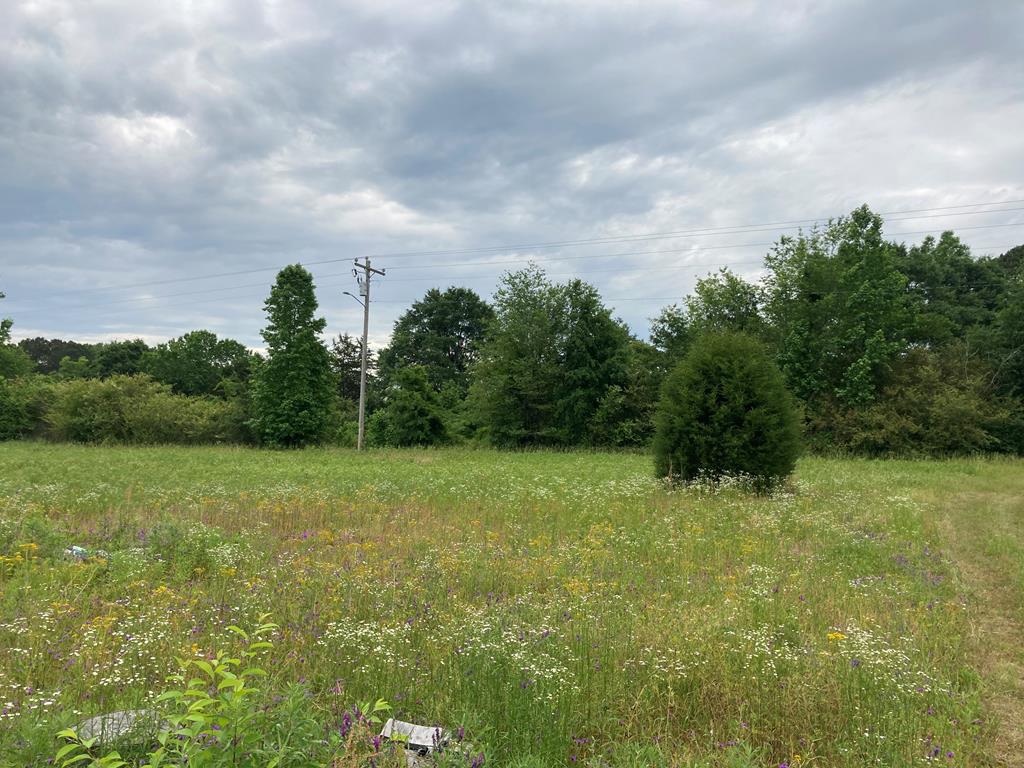 0 Harry Hardy Road Warm Springs, GA 31830 - Photo 1 of 10 Main View