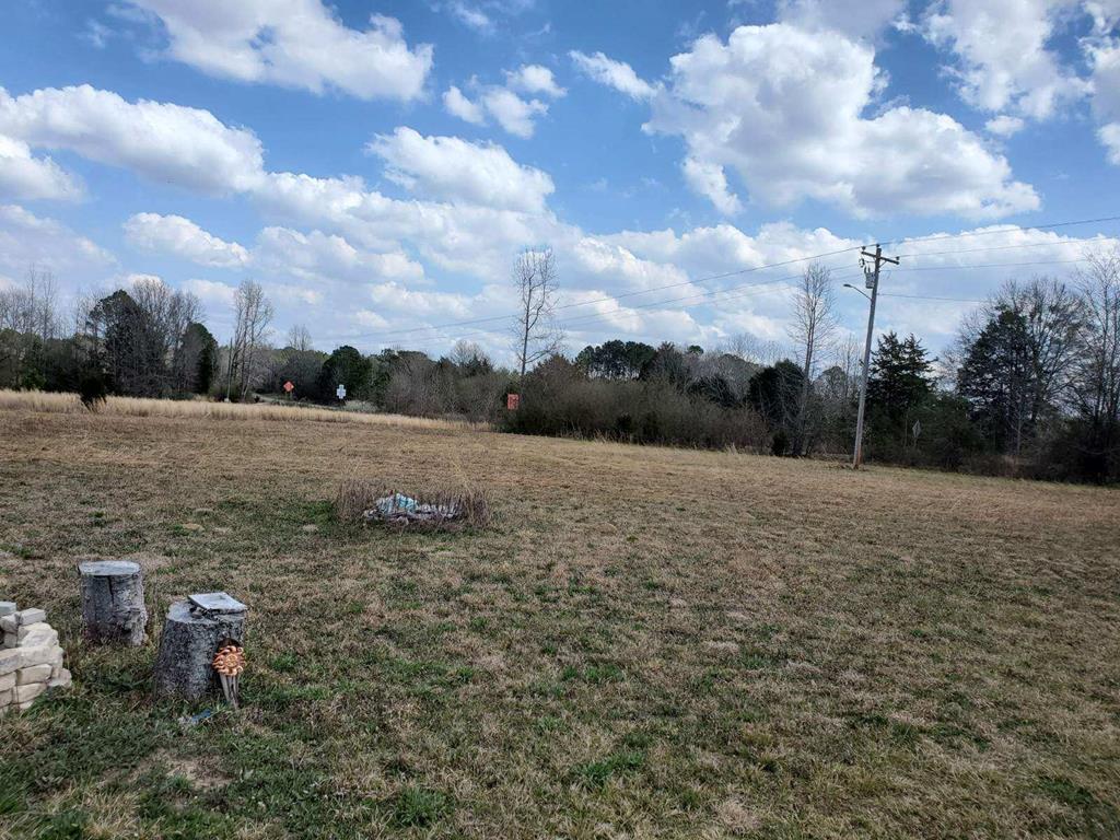 0 Harry Hardy Road Warm Springs, GA 31830 - Photo 4 of 10 Gallery Image 4