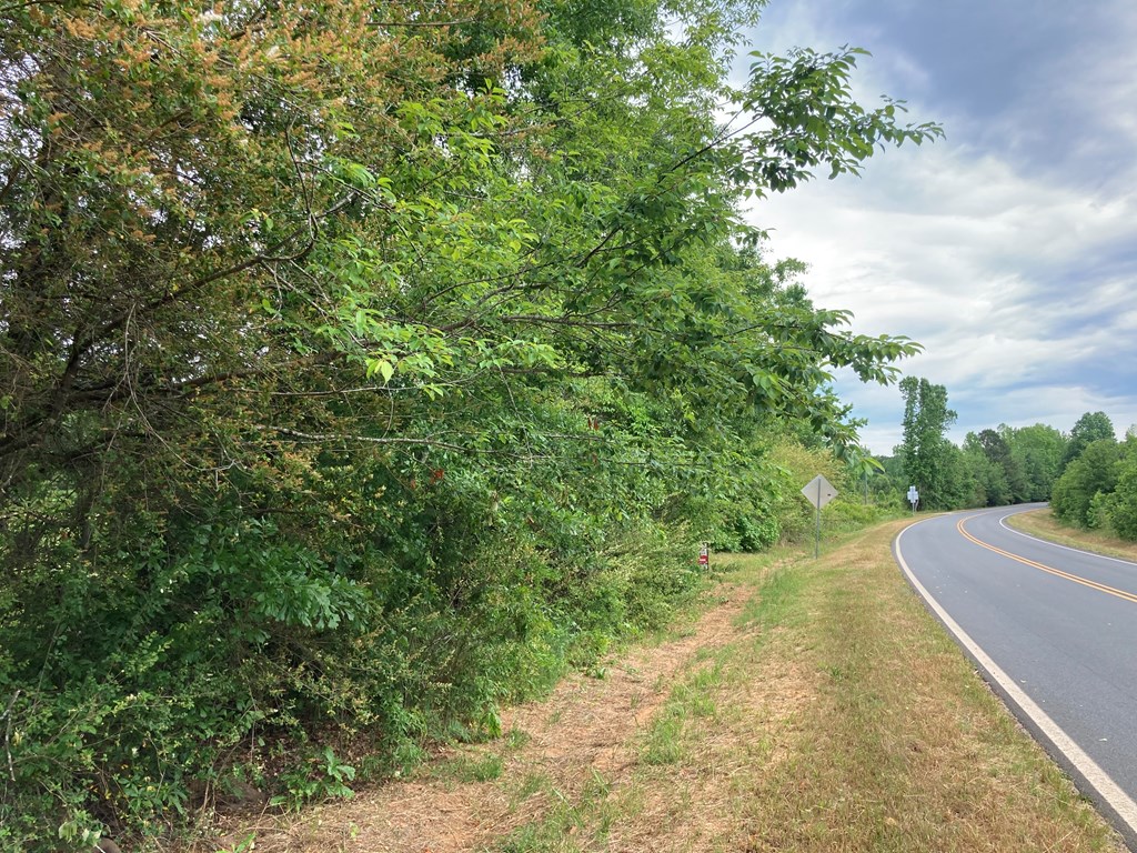 0 Harry Hardy Road Warm Springs, GA 31830 - Photo 10 of 10 Gallery Image 10