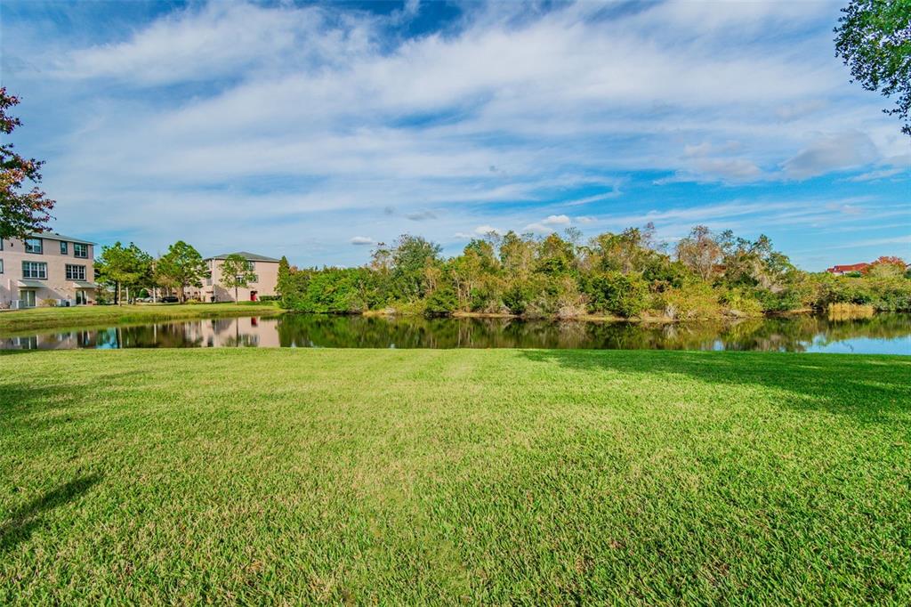 2503 Middleton Grove Drive Brandon, FL 33511 - Photo 36 of 39 a view of a garden with a building in the background