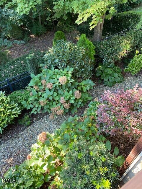 7804 Milltrace Run Raleigh, NC 27615 - Photo 23 of 28 Garden1