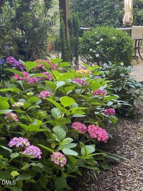 7804 Milltrace Run Raleigh, NC 27615 - Photo 24 of 28 Garden2