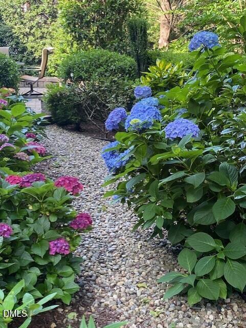 7804 Milltrace Run Raleigh, NC 27615 - Photo 25 of 28 Garden3