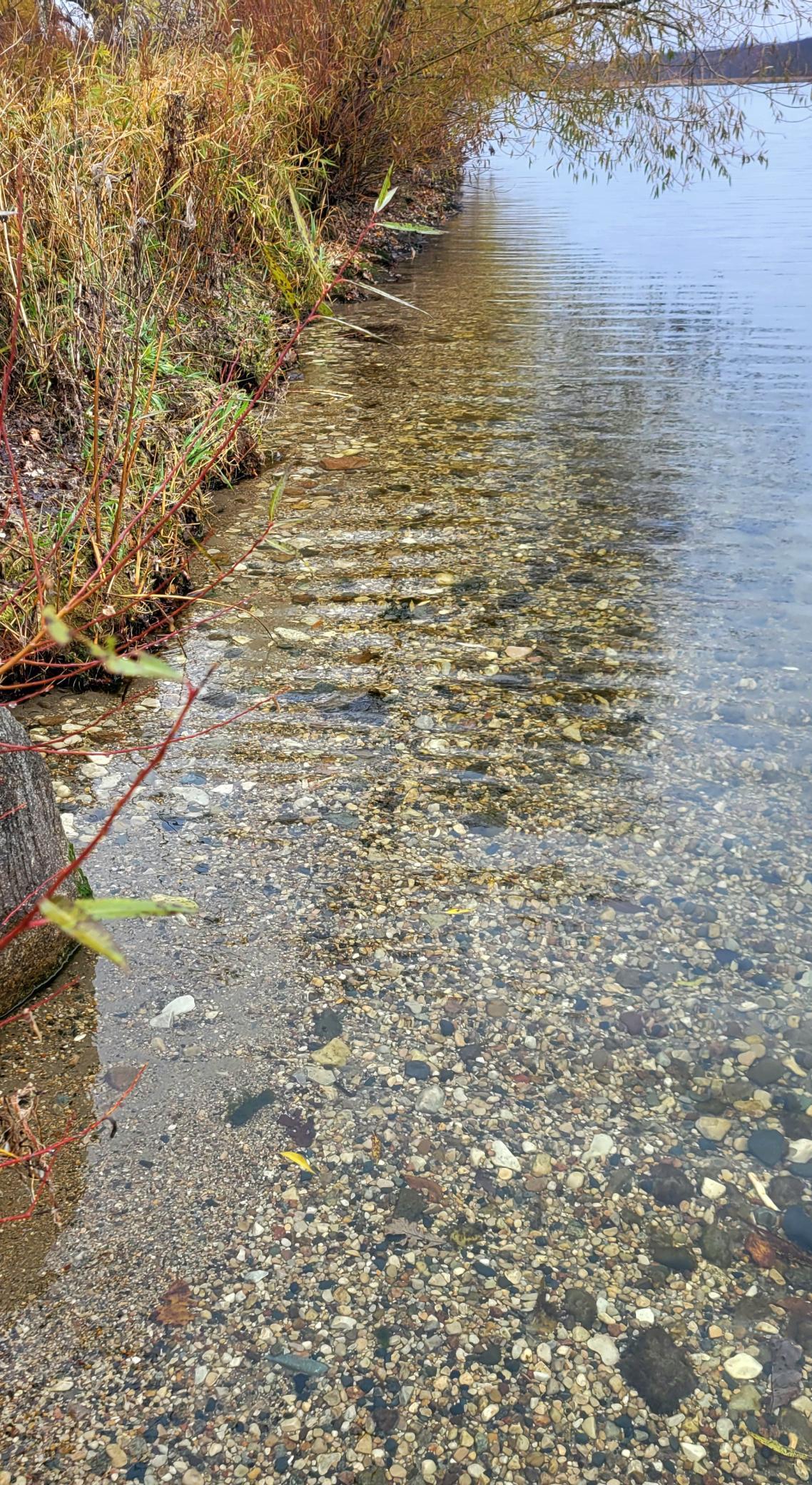 Tbd Reno View Drive Southwest Alexandria, MN 56308 - Photo 6 of 10