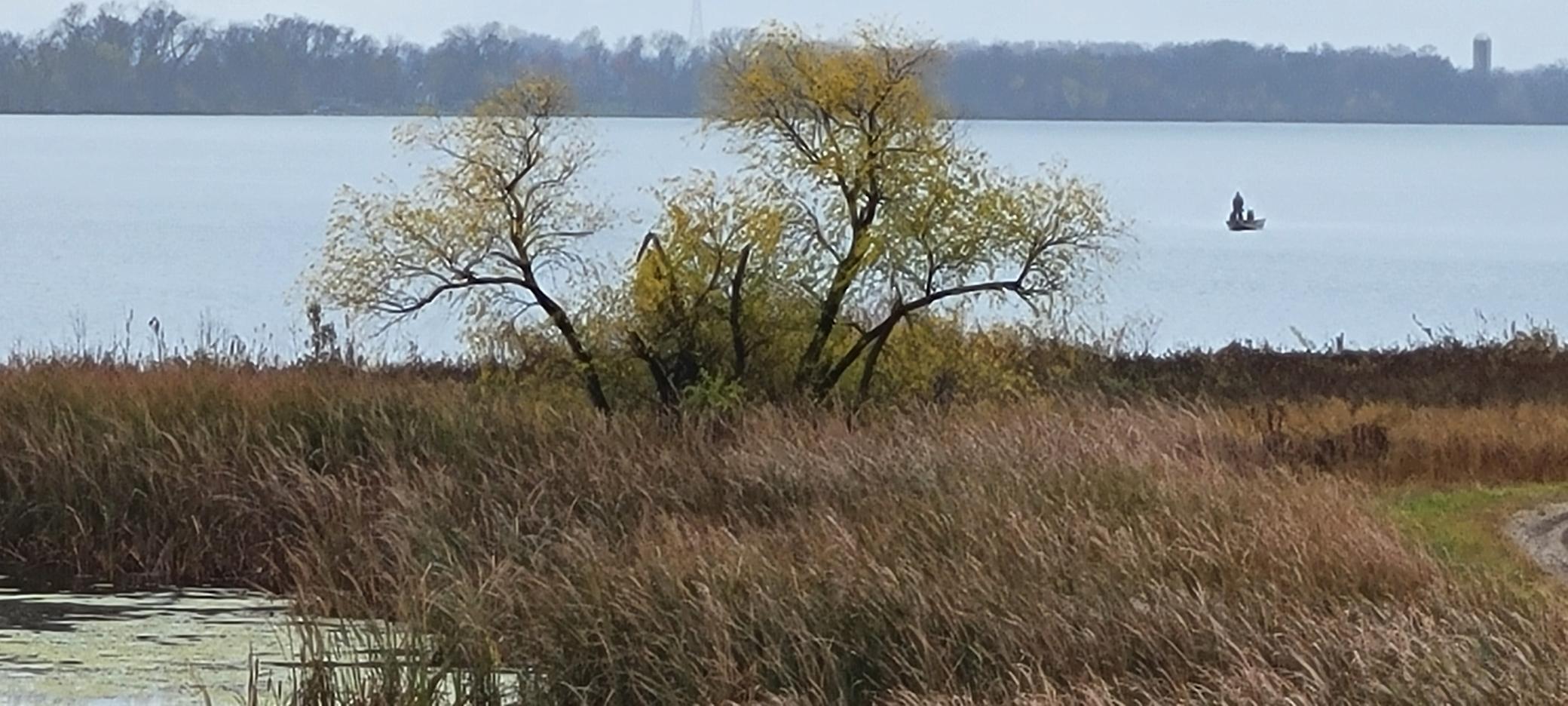 Tbd Reno View Drive Southwest Alexandria, MN 56308 - Photo 7 of 10