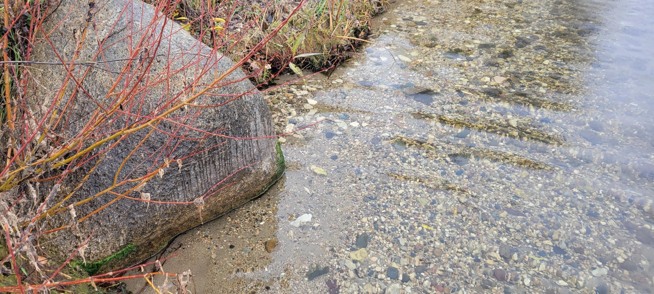 Tbd Reno View Drive Southwest Alexandria, MN 56308 - Photo 8 of 10