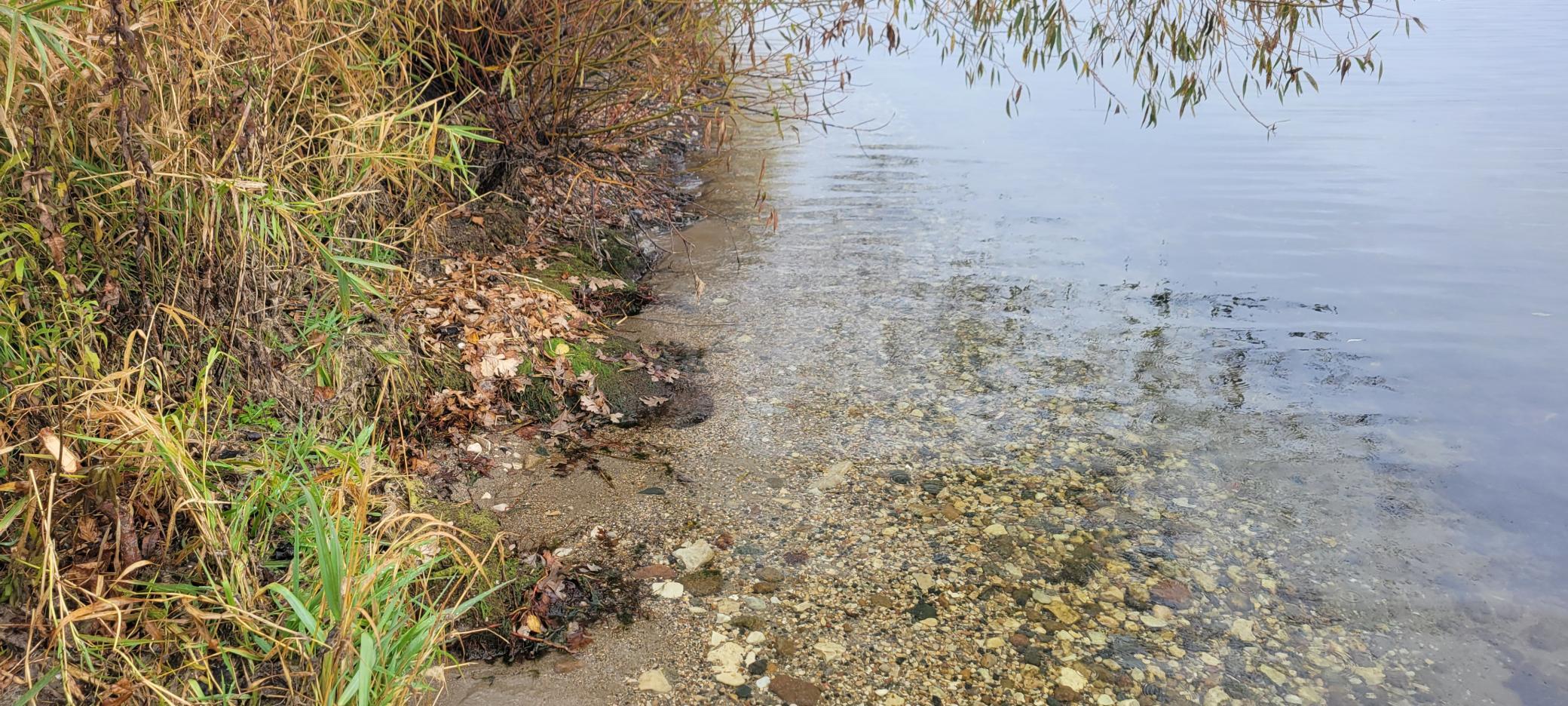 Tbd Reno View Drive Southwest Alexandria, MN 56308 - Photo 9 of 10
