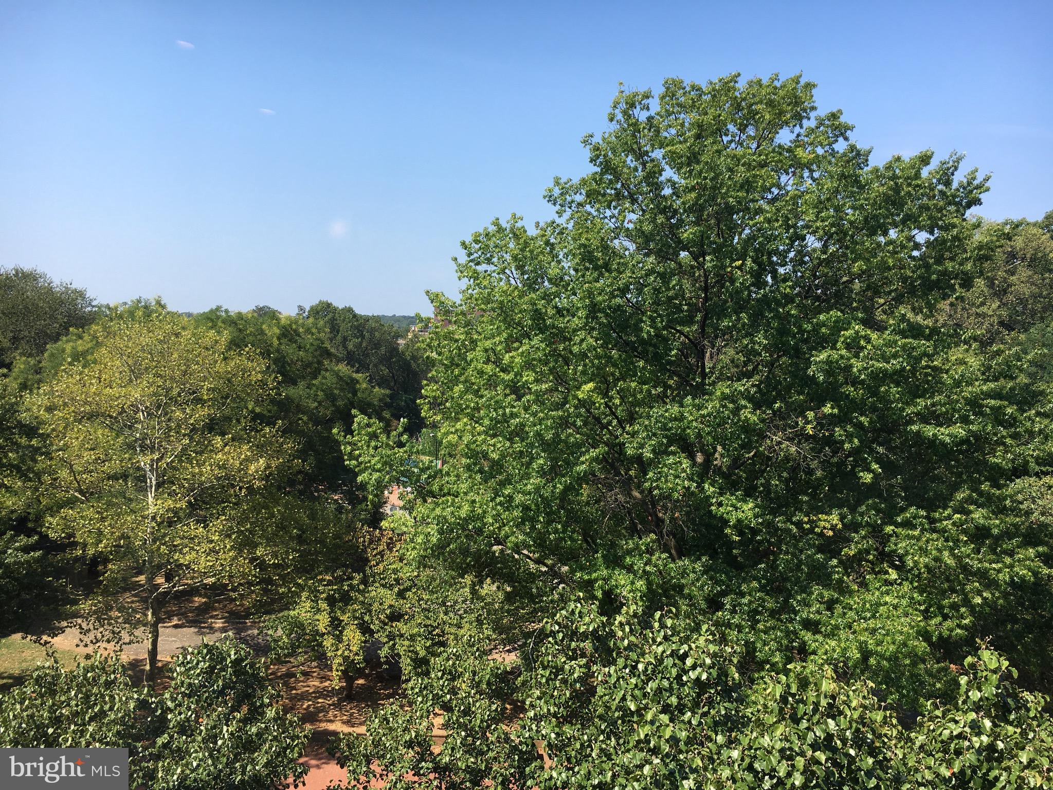 2707 Adams Mill Road Northwest, Unit 500 Washington, DC 20009 - Photo 14 of 52 View from living room