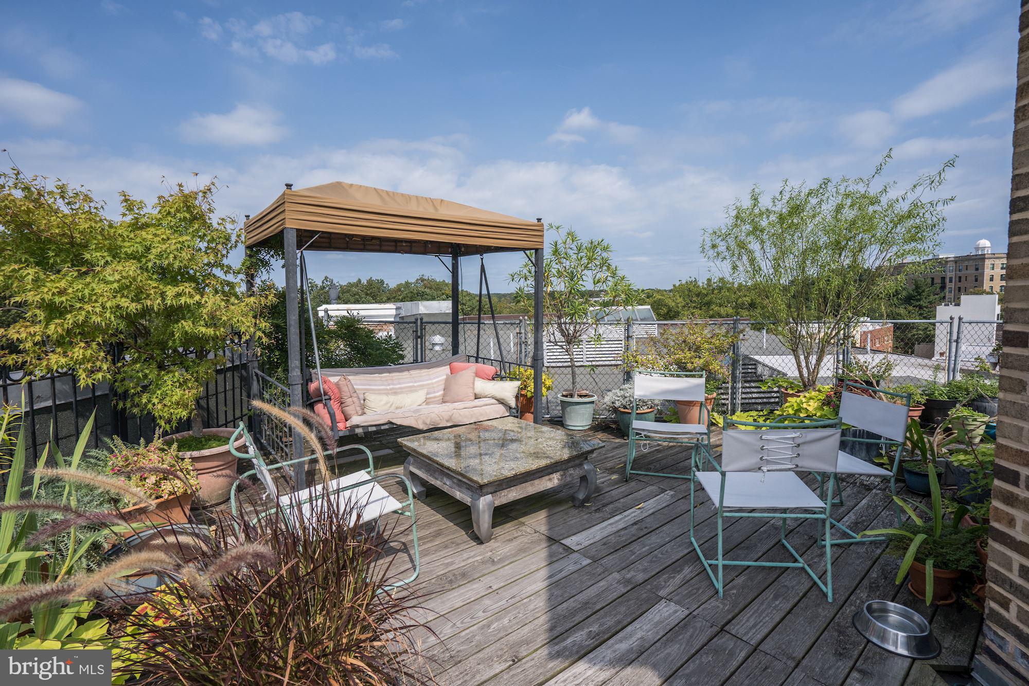 2707 Adams Mill Road Northwest, Unit 500 Washington, DC 20009 - Photo 34 of 52 Gallery Image 34
