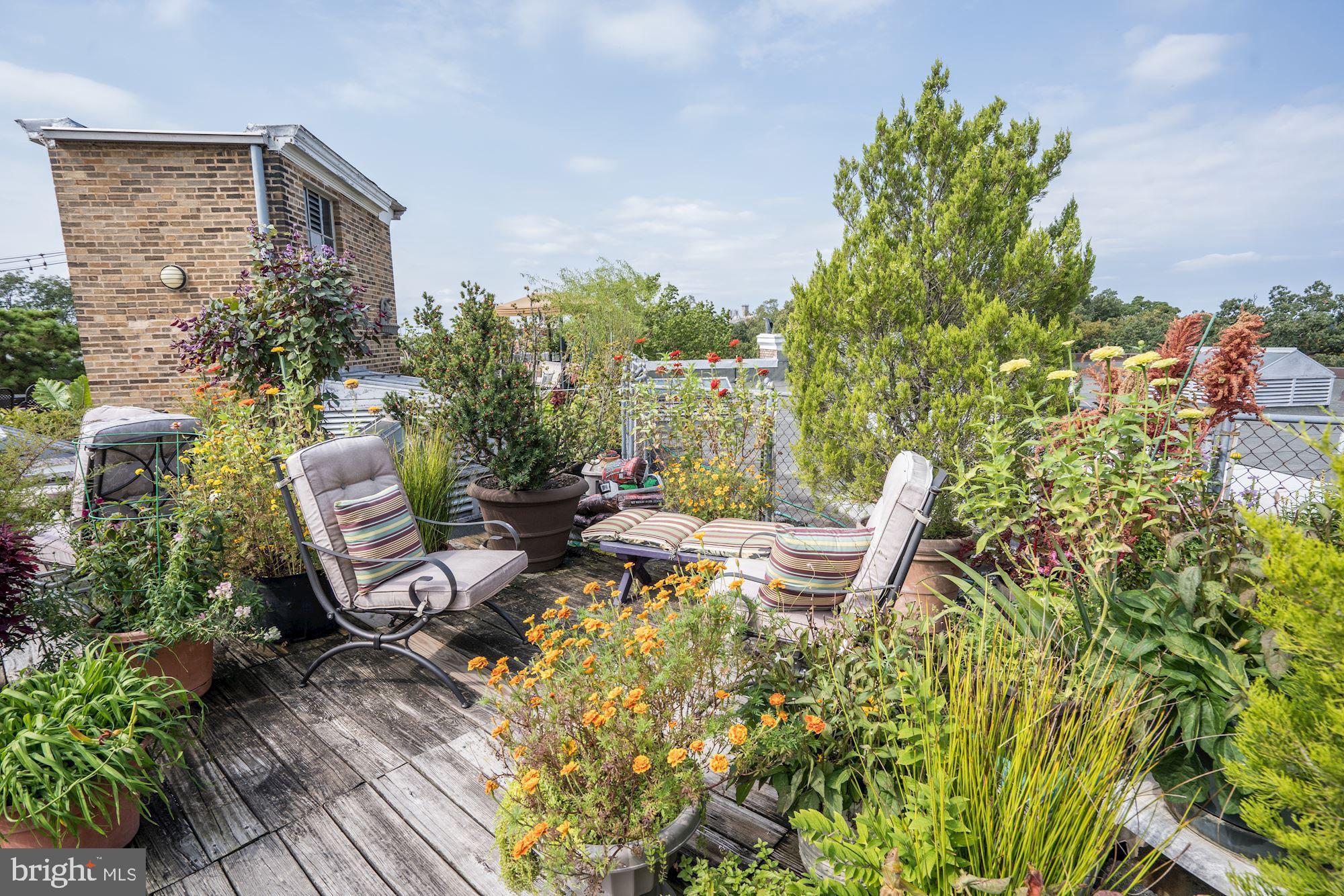 2707 Adams Mill Road Northwest, Unit 500 Washington, DC 20009 - Photo 36 of 52 Gallery Image 36