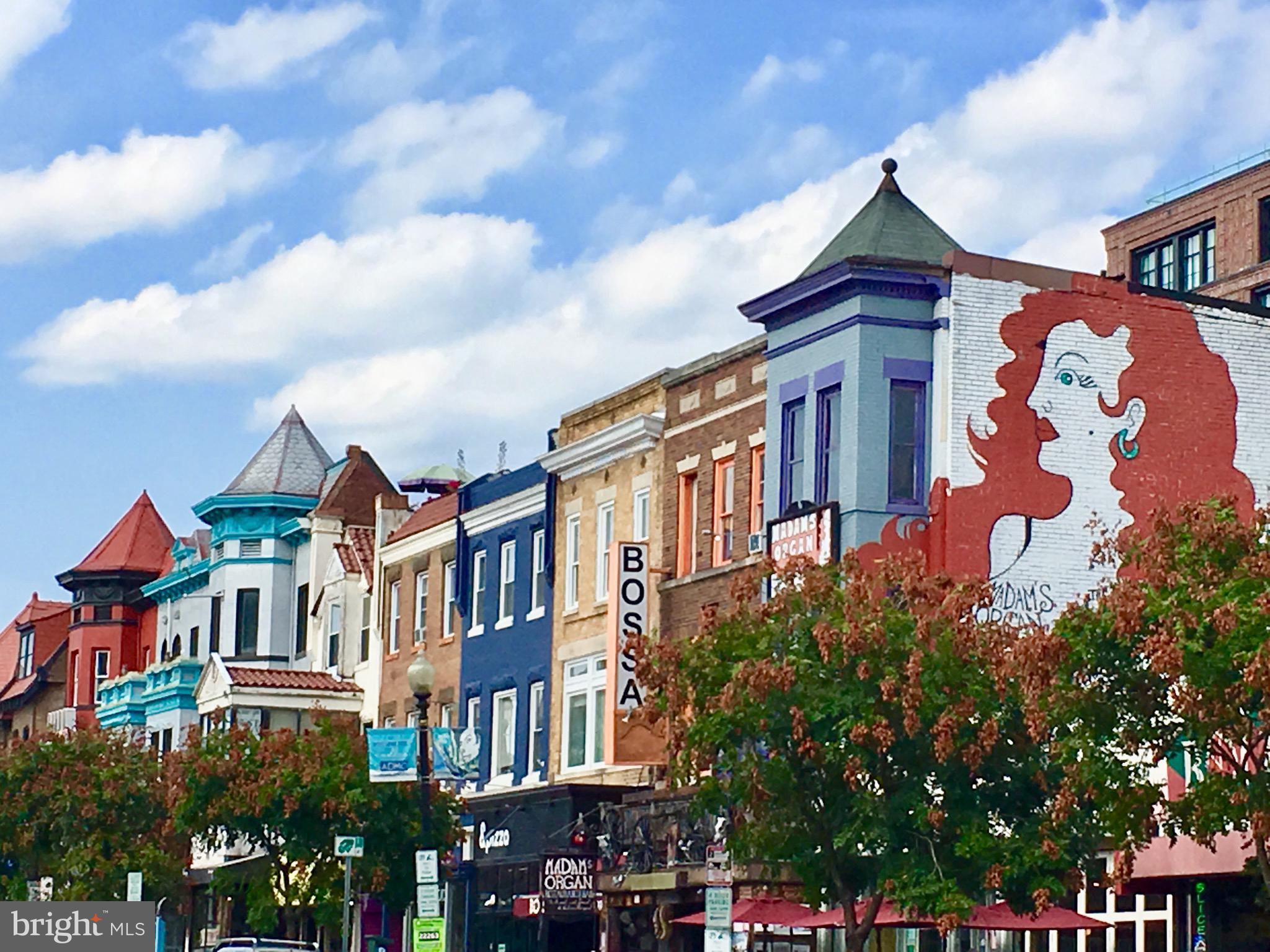 2707 Adams Mill Road Northwest, Unit 500 Washington, DC 20009 - Photo 41 of 52 Colorful Adams Morgan