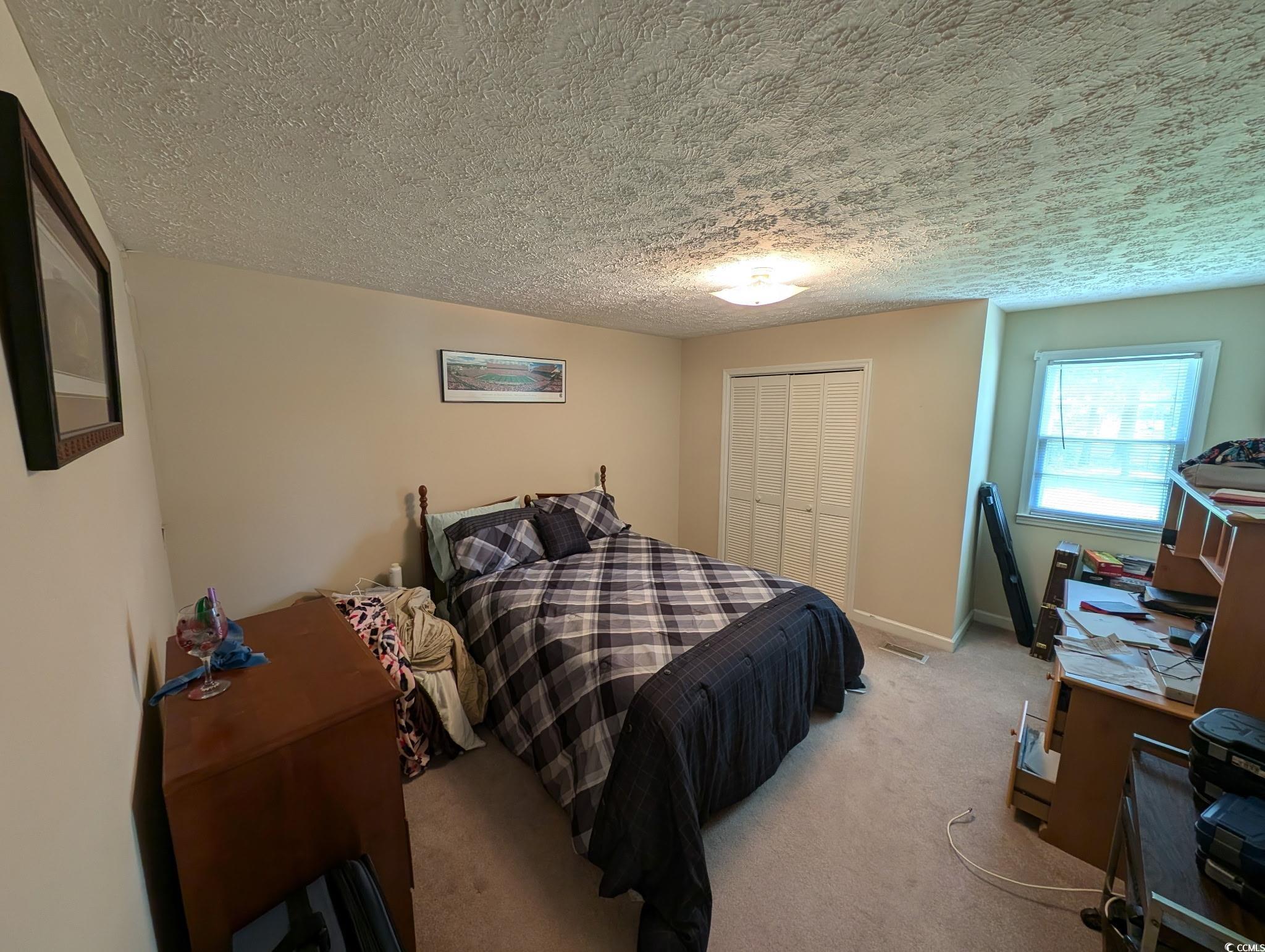 5370 Miracle Lane Conway, SC 29527 - Photo 6 of 17
