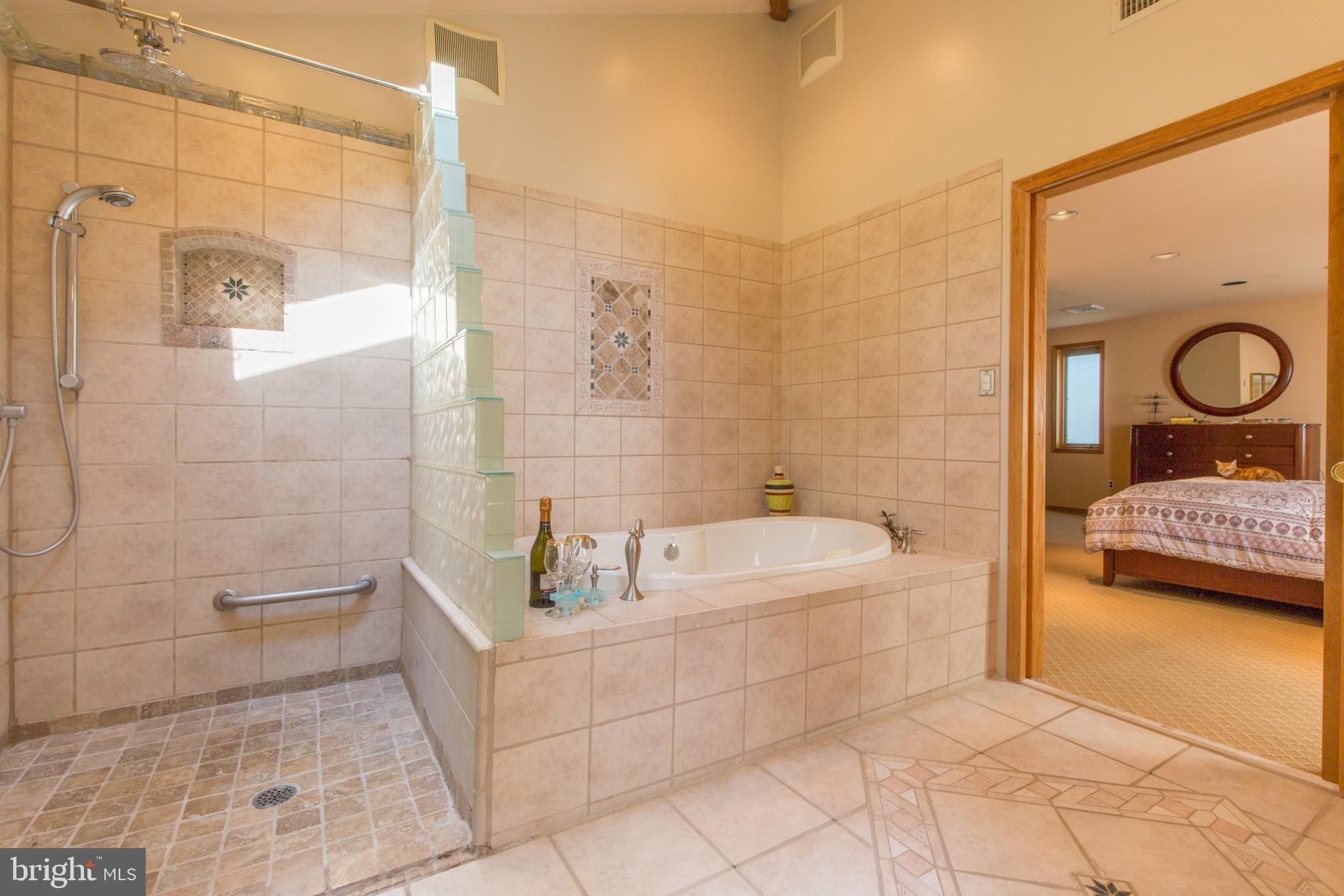 1105 Edgewood Road Yardley, PA 19067 - Photo 23 of 29 Walk in/roll in shower