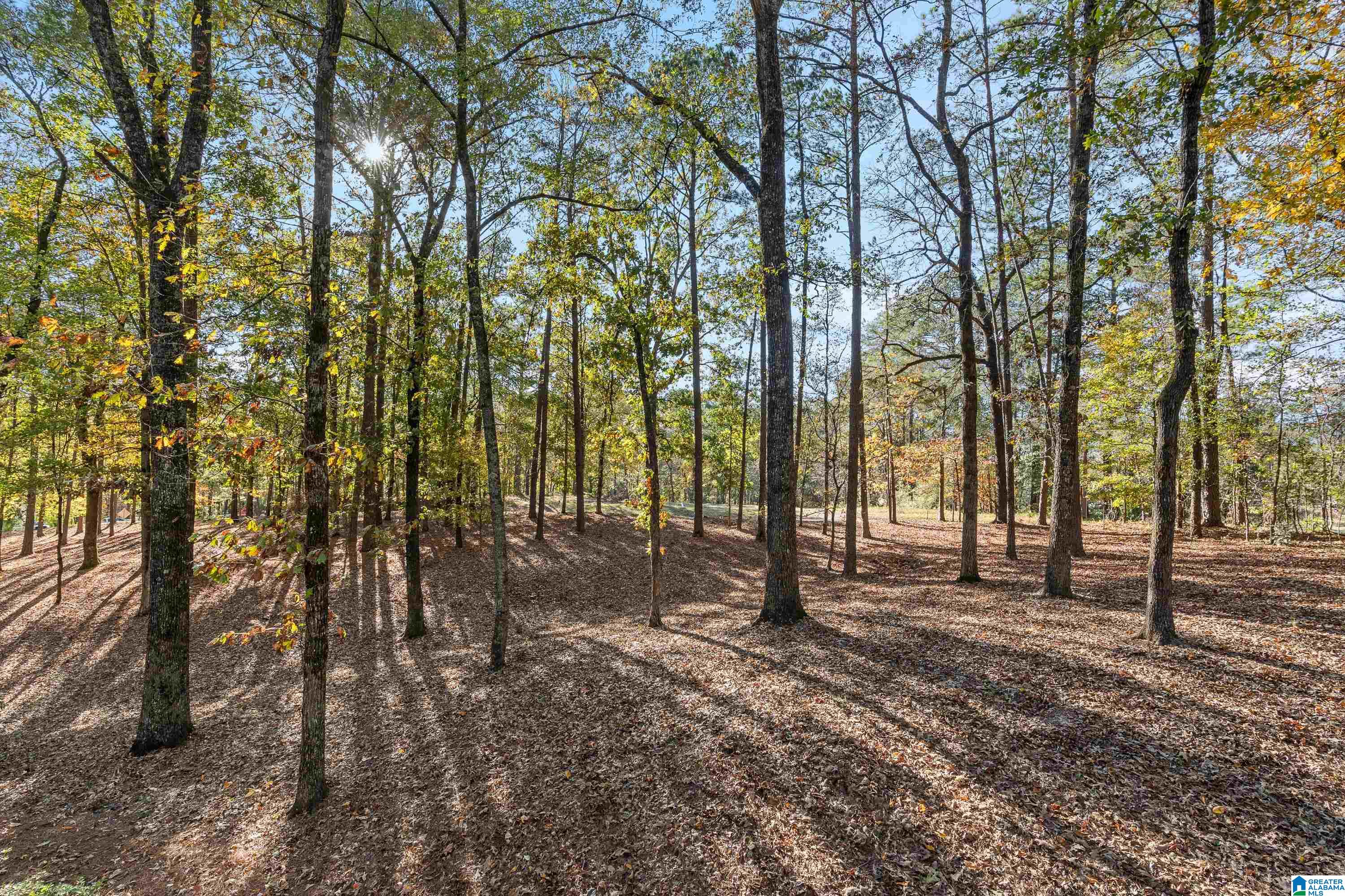 2500 Marcal Road Birmingham, AL 35244 - Photo 62 of 73
