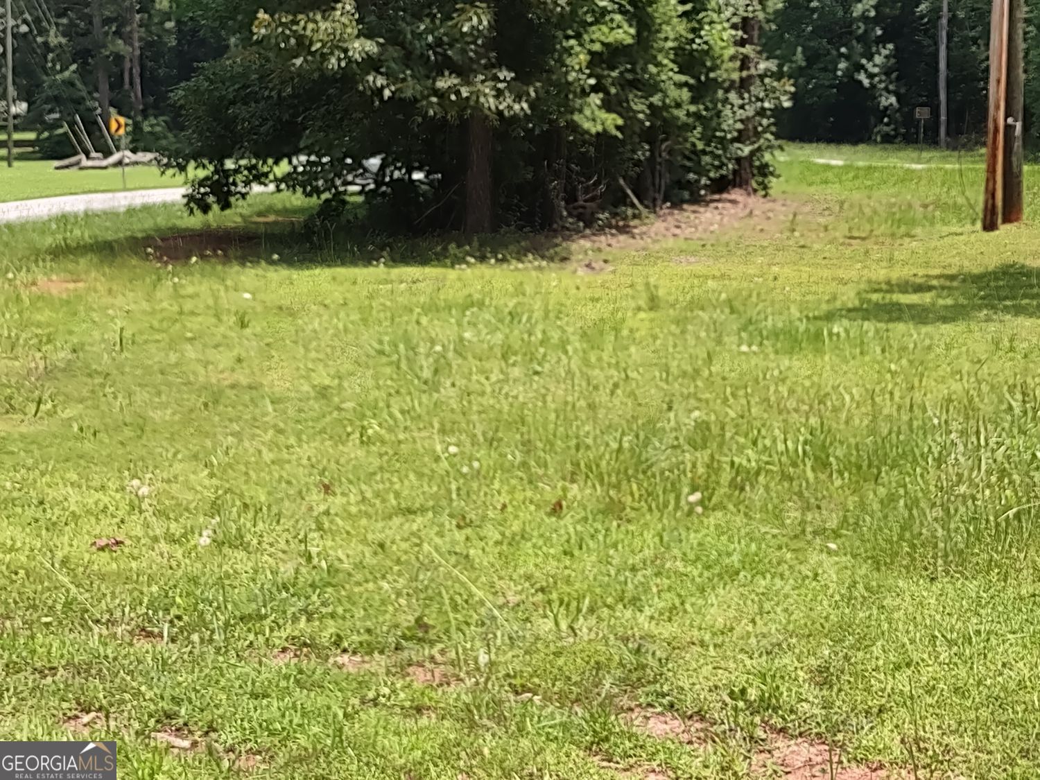 0 Panhandle Road, Unit LOT 4 Hampton, GA 30228 - Photo 16 of 39 a view of yard with green space