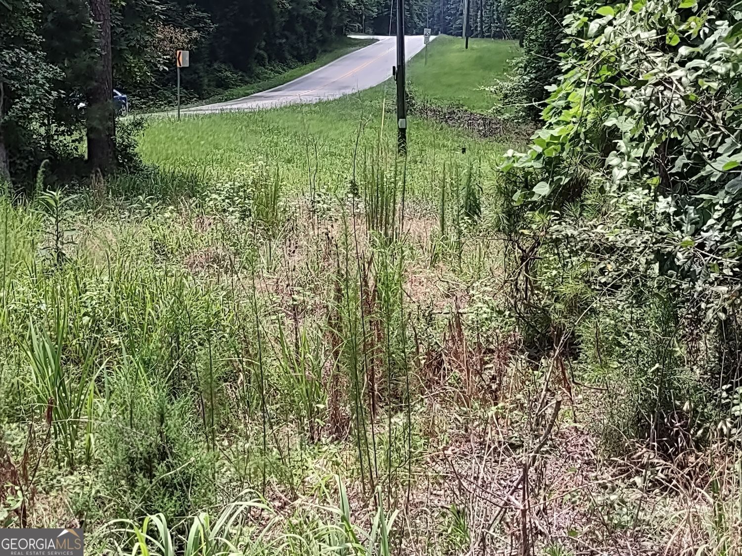 0 Panhandle Road, Unit LOT 4 Hampton, GA 30228 - Photo 18 of 39 a view of a garden
