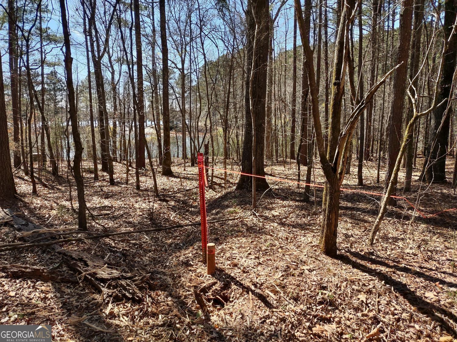 0 Panhandle Road, Unit LOT 4 Hampton, GA 30228 - Photo 25 of 39 a view of outdoor space with sink and trees
