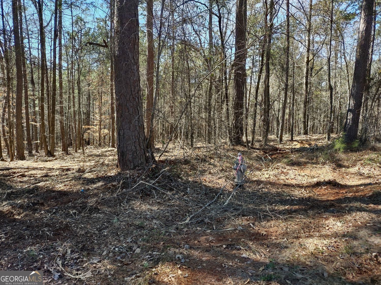 0 Panhandle Road, Unit LOT 4 Hampton, GA 30228 - Photo 29 of 39 a view of outdoor space with green space