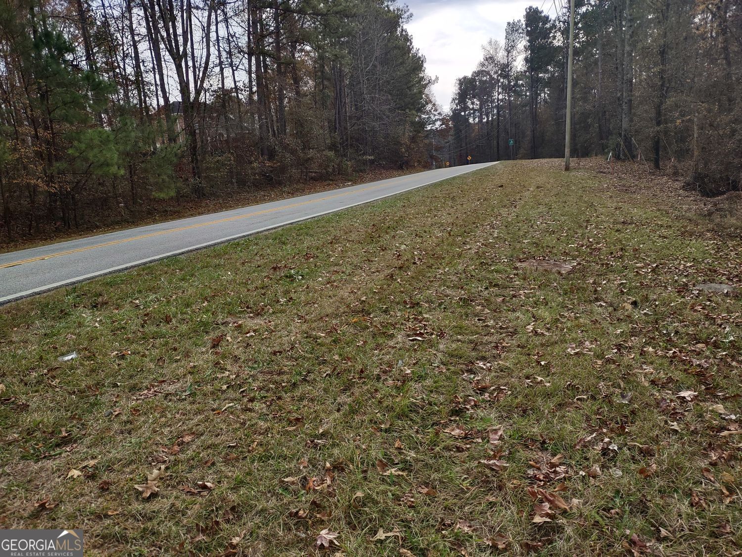 0 Panhandle Road, Unit LOT 4 Hampton, GA 30228 - Photo 30 of 39 a view of backyard with green space